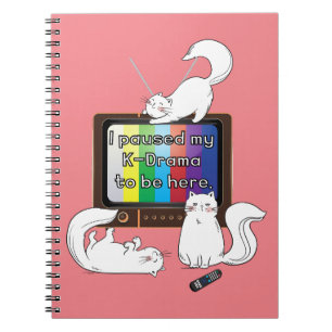 I paused my K-Drama to be here. Notebook