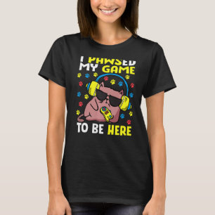 I Pawsed My Game To Be Here Funny Gamer Cat Pun T-Shirt