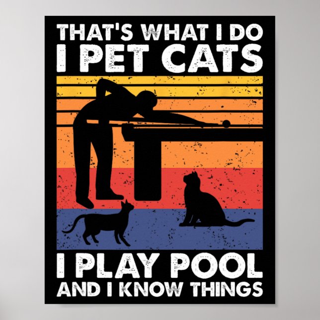 I Pet Cats I Play Pool And I Know Things1  Poster (Front)