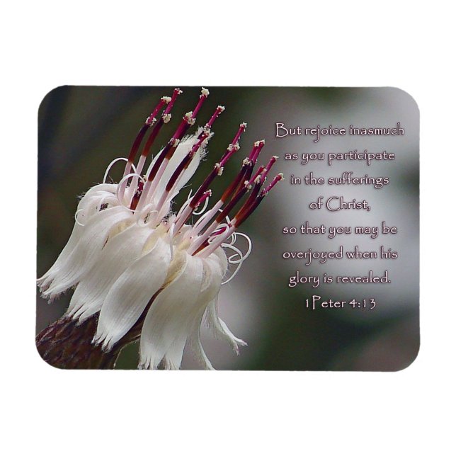 I Peter 4:13 Inspirational Floral Magnet (Horizontal)