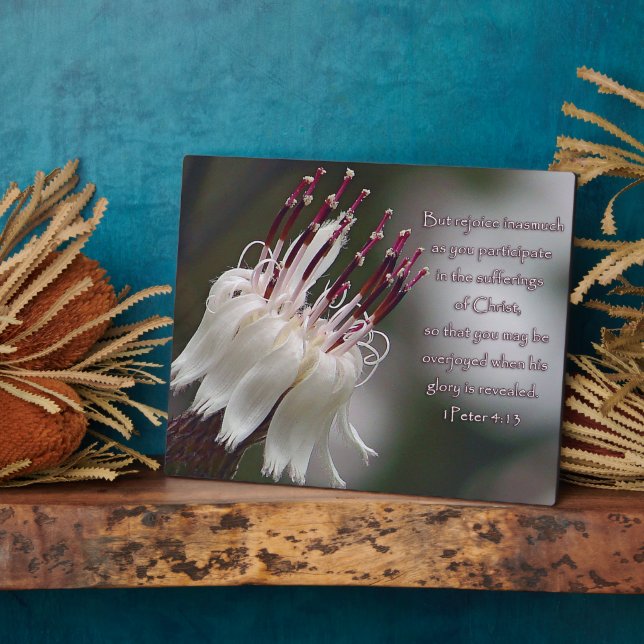 I Peter 4:13 Inspirational Floral Plaque (Side)