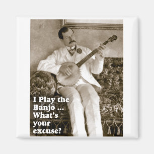 I Play Banjo ... Magnet