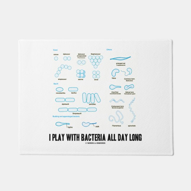 I Play With Bacteria All Day Long Microbiology Doormat (Front)