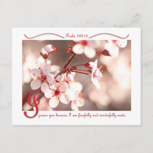 I Praise You postcard