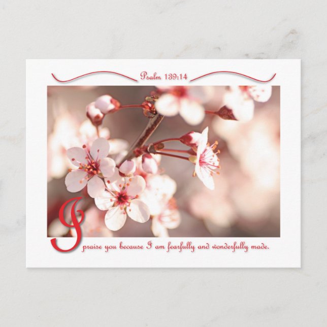 I Praise You postcard (Front)