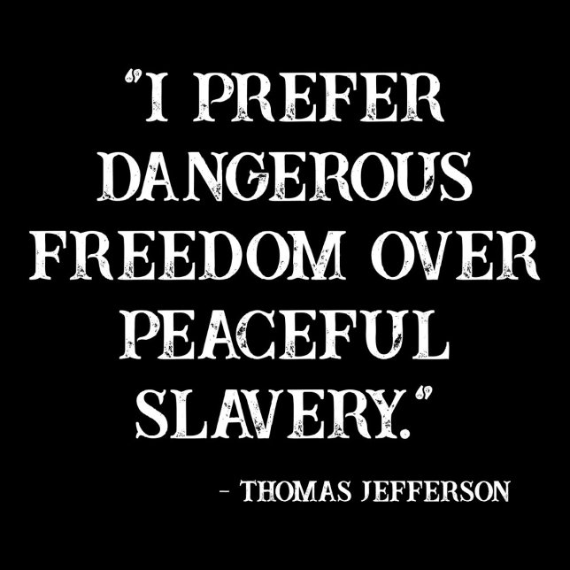 I prefer dangerous freedom over peaceful slavery (Creator Uploaded)