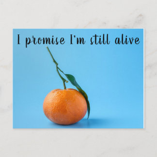 I promise Im still alive Postcard
