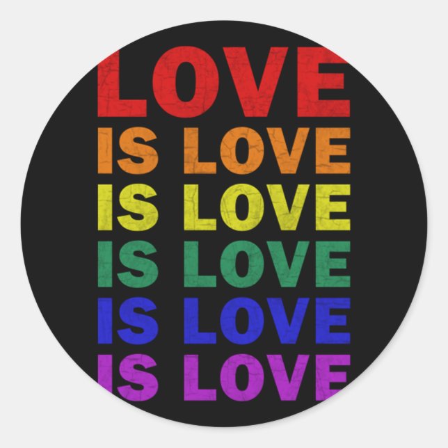 I Promise To Teach Love LGBT-Q Pride Proud Ally Te Classic Round Sticker (Front)