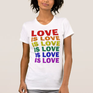 I Promise To Teach Love LGBT-Q Pride Proud Ally Te T-Shirt