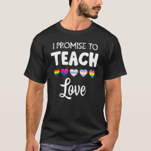 I Promise To Teach Love Lgbtq Pride Proud Ally Tea T-Shirt
