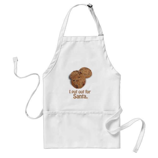 I put out for Santa -.png Standard Apron (Front)