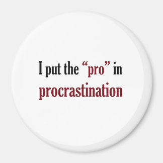 I Put the Pro in Procrastination Magnet
