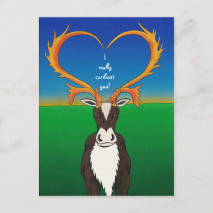 I Really Caribout You Postcard