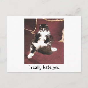 i really hate you postcard