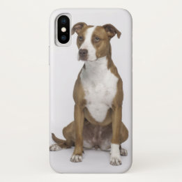 I Really Love Dogs Iphone X Case