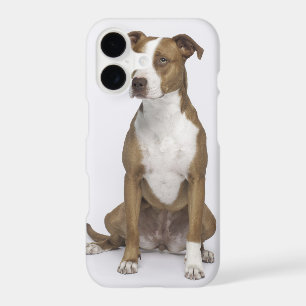 I Really Love Dogs Iphone X Case