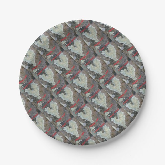 I Really Really Lichen You Paper Plate (Front)