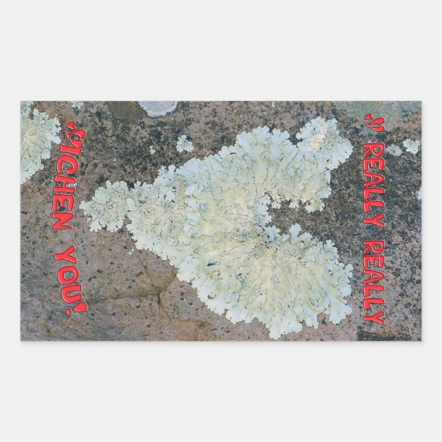 I really really Lichen you Rectangular Sticker (Front)