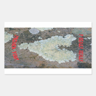 I really really Lichen you Rectangular Sticker