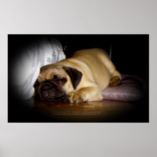 'I Rejoice In The Love I Encounter Everyday' Poster (Front)