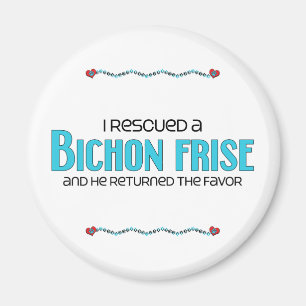 I Rescued a Bichon Frise (Male Dog) Magnet