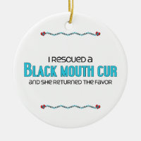 I Rescued a Black Mouth Cur (Female Dog)