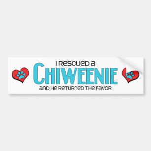 I Rescued a Chiweenie (Male) Dog Adoption Design Bumper Sticker