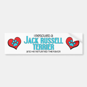 I Rescued a Jack Russell Terrier (Male Dog) Bumper Sticker