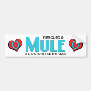 I Rescued a Mule (Female Mule) Bumper Sticker