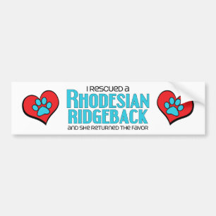 I Rescued a Rhodesian Ridgeback (Female Dog) Bumper Sticker