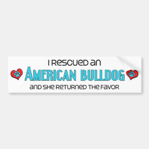 I Rescued an American Bulldog (Female Dog) Bumper Sticker