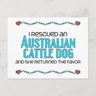 I Rescued an Australian Cattle Dog (Female Dog) Postcard