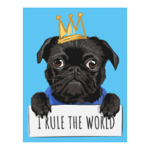 I Rule The World Pug