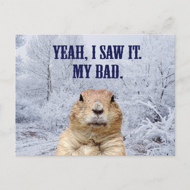 I Saw It Groundhog Day Postcard (Front)