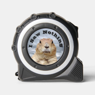 I Saw Nothing on Groundhog Day 1