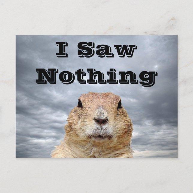 I Saw Nothing on Groundhog Day Postcard (Front)