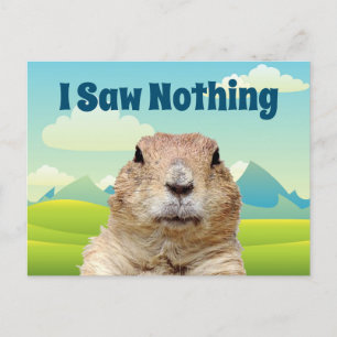 I Saw Nothing on Groundhog Day Postcard