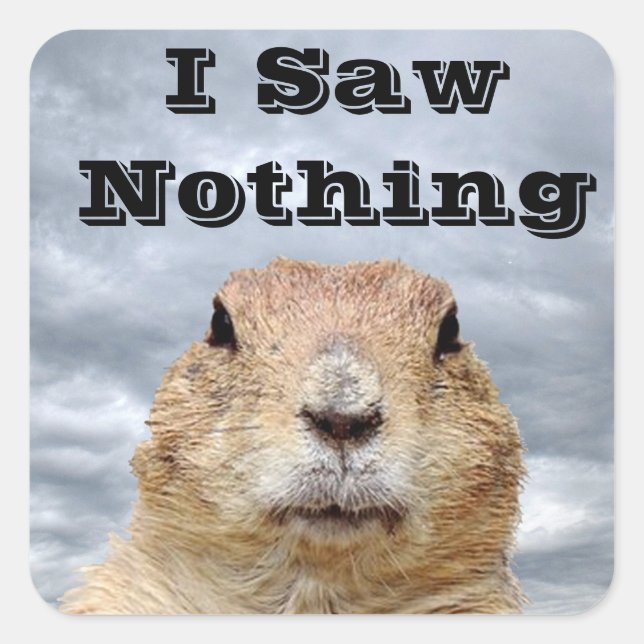 I Saw Nothing on Groundhog Day Square Sticker (Front)
