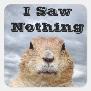 I Saw Nothing on Groundhog Day Square Sticker