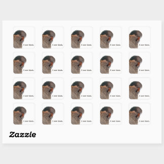 I saw that. Parrot sticker