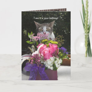 I see it is your birthday cute cat birthday card