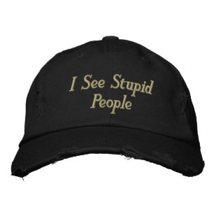 I See Stupid People Embroidered Hat