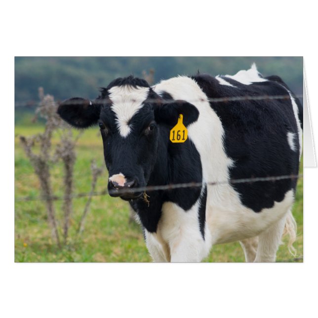 I See You (Front Horizontal)