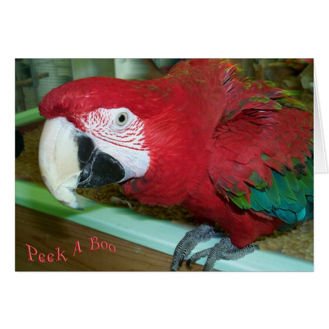 I See You (Front Horizontal)