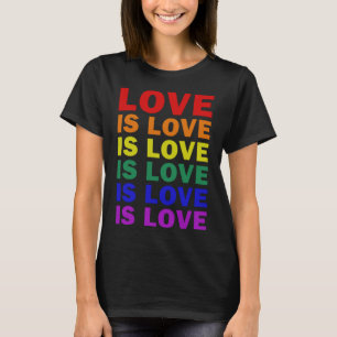 I See You I love You I Accept You Tshirt LGBT Prid