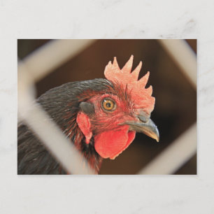I See You Postcard