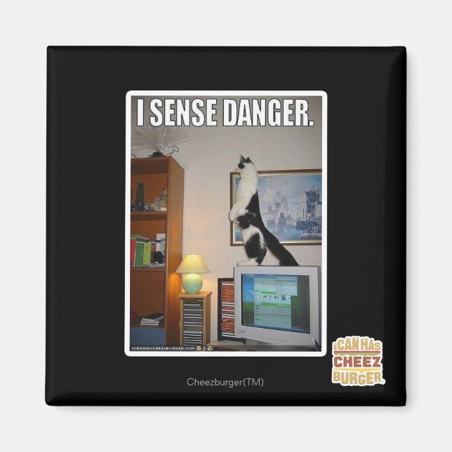 I sense danger magnet (Front)
