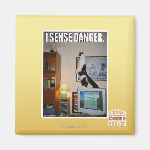 I sense danger magnet