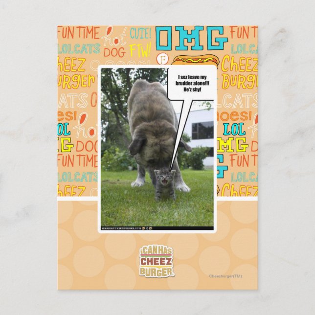 I sez leave my brudder alone postcard (Front)