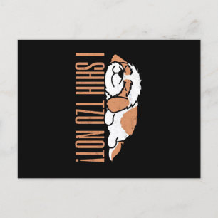 I shih tzu not funny quote   Birthday gift Holiday Postcard